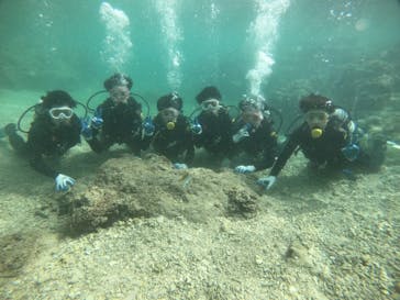 武藤潜水に投稿された画像（2022/1/4）