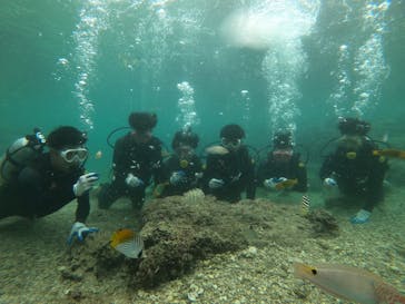 武藤潜水に投稿された画像（2022/1/4）