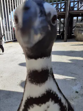 横浜・八景島シーパラダイスに投稿された画像（2022/1/4）