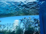 サンシャイン水族館に投稿された画像（2022/1/4）