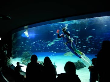 サンシャイン水族館に投稿された画像（2022/1/4）