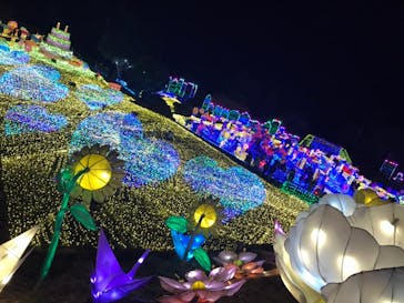 伊豆ぐらんぱる公園に投稿された画像（2022/1/4）