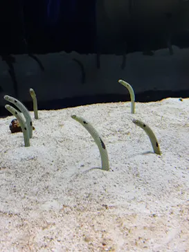 すみだ水族館に投稿された画像（2022/1/4）