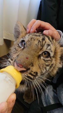 しろとり動物園に投稿された画像（2022/1/4）