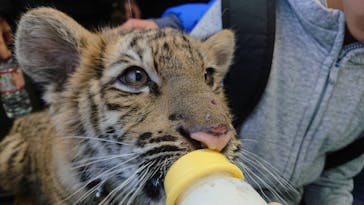 しろとり動物園に投稿された画像（2022/1/4）