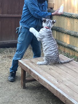 しろとり動物園に投稿された画像（2022/1/4）