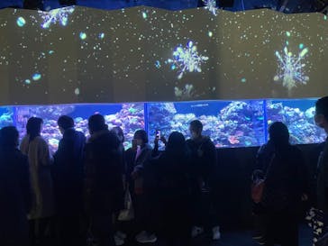 マクセル アクアパーク品川に投稿された画像（2022/1/4）