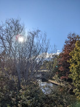 安城産業文化公園デンパークに投稿された画像（2022/1/4）