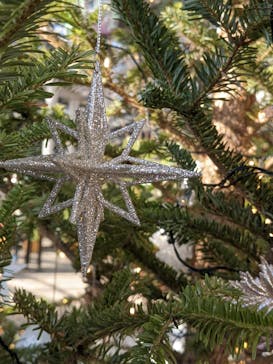 安城産業文化公園デンパークに投稿された画像（2022/1/4）