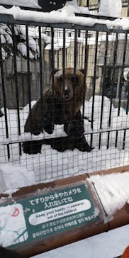 旭川市旭山動物園に投稿された画像（2022/1/4）