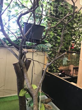 しろとり動物園に投稿された画像（2022/1/4）