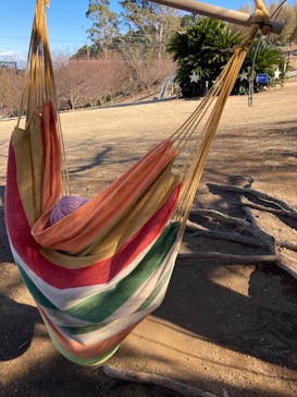 伊豆ぐらんぱる公園に投稿された画像（2022/1/4）