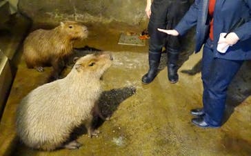 マクセル アクアパーク品川に投稿された画像（2022/1/4）