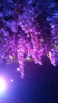 東京メガイルミに投稿された画像（2022/1/4）