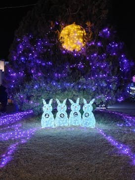 東武動物公園に投稿された画像（2022/1/4）