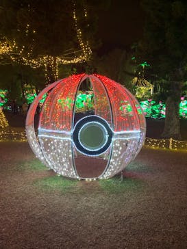 美らヤシパークオキナワ・東南植物楽園に投稿された画像（2022/1/4）