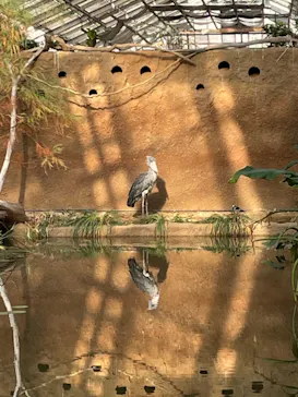 神戸どうぶつ王国に投稿された画像（2022/1/4）