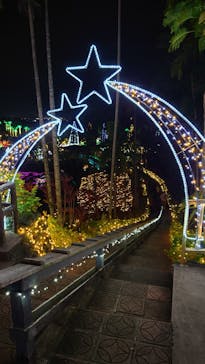 美らヤシパークオキナワ・東南植物楽園に投稿された画像（2022/1/4）