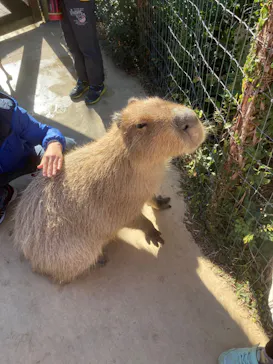 横浜・八景島シーパラダイスに投稿された画像（2022/1/4）