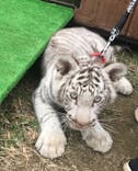 しろとり動物園に投稿された画像（2022/1/4）