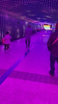 東京メガイルミに投稿された画像（2022/1/4）