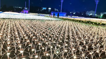 東京メガイルミに投稿された画像（2022/1/4）