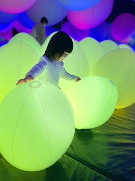 森ビル デジタルアート ミュージアム：エプソン チームラボボーダレスに投稿された画像（2022/1/4）