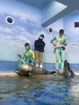 新江ノ島水族館に投稿された画像（2022/1/4）