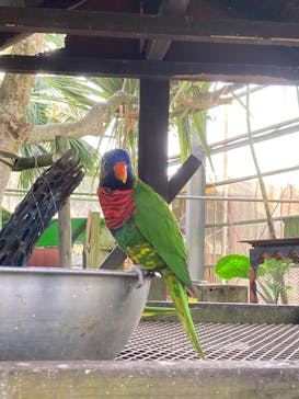 OKINAWAフルーツらんどに投稿された画像（2022/1/4）