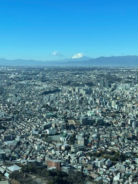 横浜ランドマークタワー 69階展望フロア スカイガーデンに投稿された画像（2022/1/4）