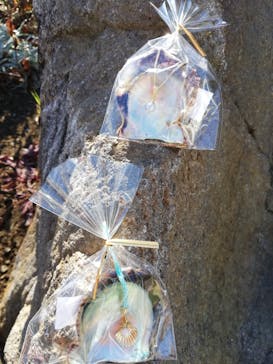 しながわ水族館に投稿された画像（2022/1/4）