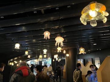 京都水族館に投稿された画像（2022/1/4）