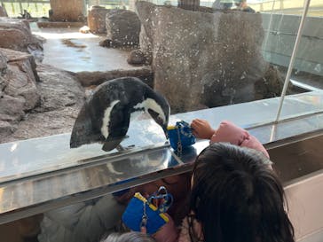 京都水族館に投稿された画像（2022/1/4）