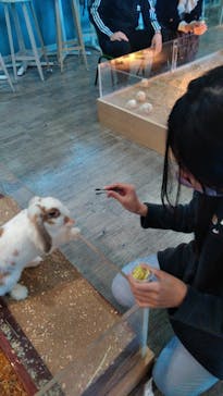Moff animal cafe iias つくば店に投稿された画像（2022/1/4）