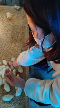 Moff animal cafe iias つくば店に投稿された画像（2022/1/4）