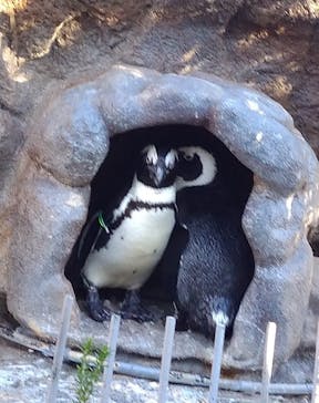 サンシャイン水族館に投稿された画像（2022/1/4）