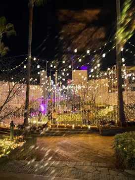 ひらかたパークに投稿された画像（2022/1/4）