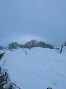 びわ湖バレイに投稿された画像（2022/1/4）