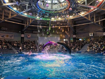 マクセル アクアパーク品川に投稿された画像（2022/1/4）