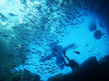 仙台うみの杜水族館に投稿された画像（2022/1/5）