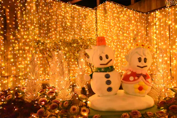 ひらかたパークに投稿された画像（2022/1/5）