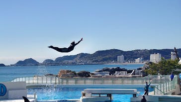 鴨川シーワールドに投稿された画像（2022/1/5）