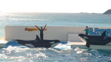 鴨川シーワールドに投稿された画像（2022/1/5）