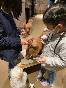 Moff animal world MARK IS みなとみらい店に投稿された画像（2022/1/5）