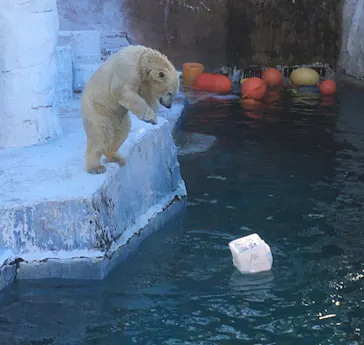 天王寺動物園に投稿された画像（2022/1/5）