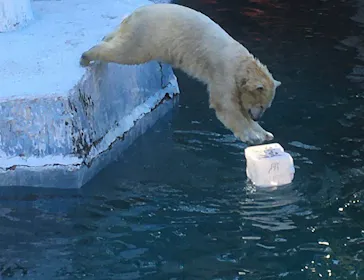 天王寺動物園に投稿された画像（2022/1/5）