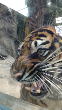 神戸どうぶつ王国に投稿された画像（2022/1/5）