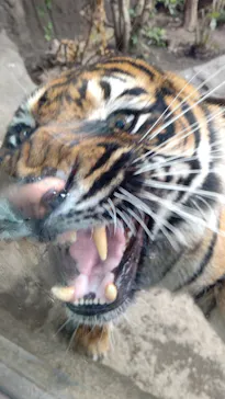 神戸どうぶつ王国に投稿された画像（2022/1/5）