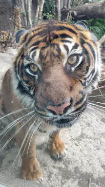 神戸どうぶつ王国に投稿された画像（2022/1/5）