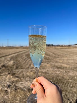 ウイニングバルーンクラブに投稿された画像（2022/1/5）